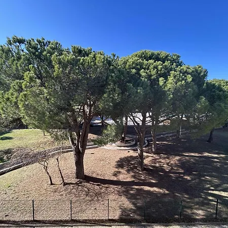 Proche Avec Terrasse - - Fr-1-250-297 Apartment *